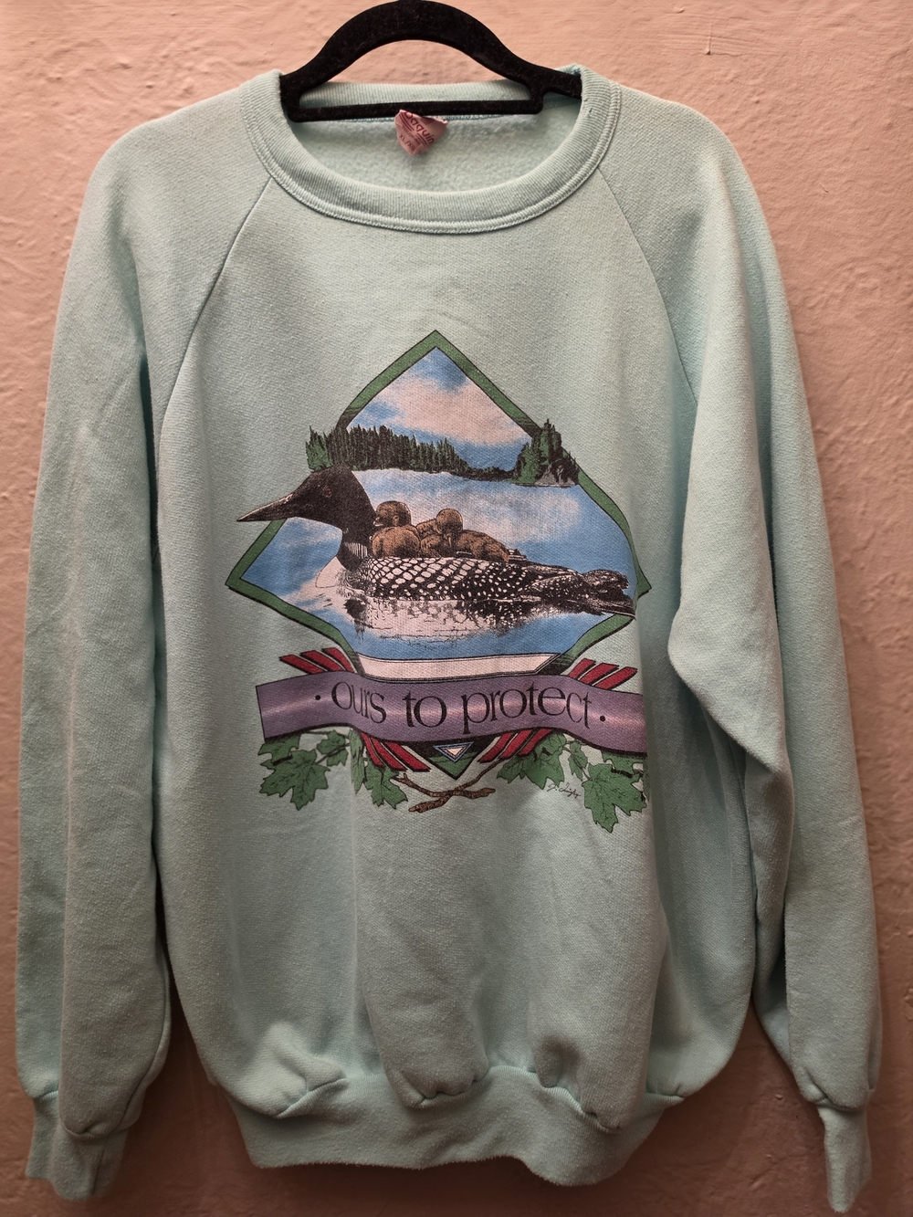 Vintage 90s Canada Loon Nature Sweatshirt XL Aqua Made in Canada Wildlife